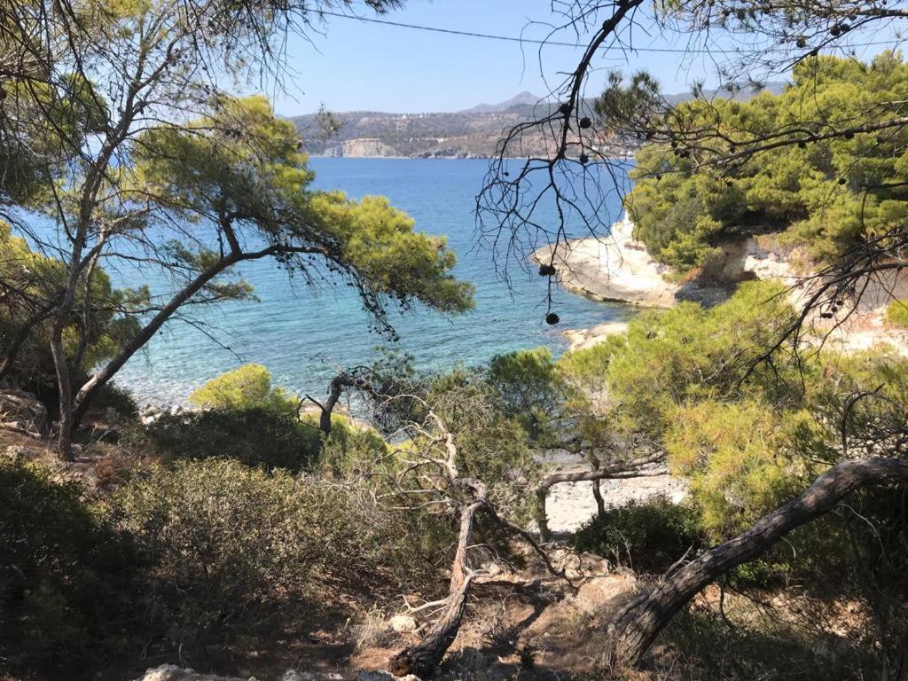 Vana Kavos Apartman Ajía Marína Kültér fotó