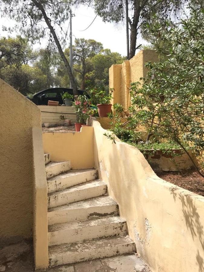 Vana Kavos Apartman Ajía Marína Kültér fotó